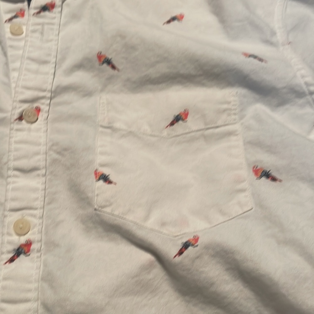 Parrot  button down - Picture 2 of 3